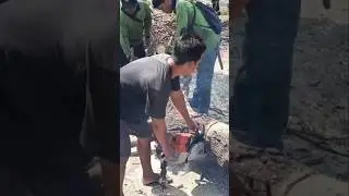 large mango tree cutting skill technique #shortvideo #treecutting #chainsaw
