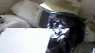 Sokol Marić - Nehumani uvjeti rada za&scaron;titara u Splitu