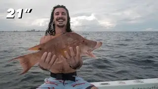 Spearfishing Hogfish, Cero Mackerel and Yellow Jack || M44