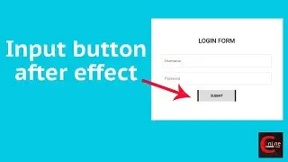 How to give Input button after effects | css tricks & tips