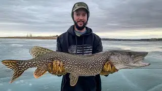 Spearing a 40 inch Northern Pike