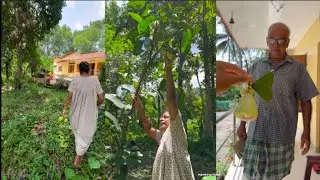 മഴ ഒന്ന് തോർന്നപ്പോൾ ഒന്ന് പുറത്തേക്ക് ഇറങ്ങിയതാ ഒരു നേരത്തെ കറിക്ക് ഉള്ളതായി😋👇