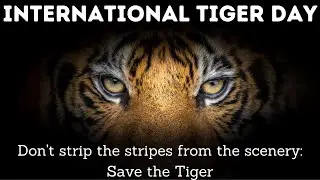 International Tiger Day 2021 | World Tiger Day | Lines on International Tiger Day