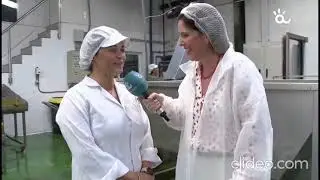 Campaña aceituna Aloreña 2024, Canal Málaga