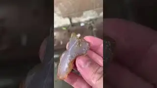 #rockhounding #rockhound #agate #oregon #gemstone #crystals #crystalgems #hiddengems #norcal #or
