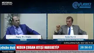 &Ccedil;oban Ateşi Hareketi Karadeniz Koordinat&ouml;r&uuml; Ey&uuml;p Demir Flash53'te