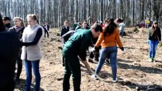 Лисі Карпати Іршавщині не загрожують   директор ДП Довжанське ЛМГ Василь Ледней