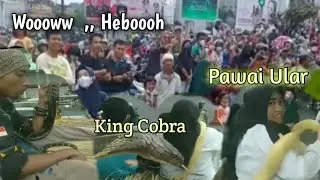 Pawai Ular||HUT Kota Bandar Lampung
