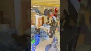 Fishermen Caught Hunting Seagulls In Qatar