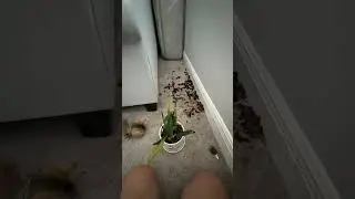 Эту жопу надо наказать