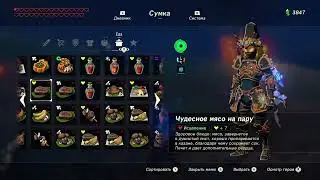 BoTW 1