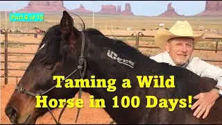 Extreme Mustang Makeover  100 Days With a Wild Horse  Part 6 of 14
