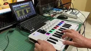 E.Piano DX7 (from the FM7 VST), on a netbook - Live to Tell Harmony