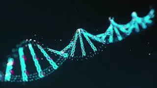 Creating Harmony Within the Body Visualization Meditation