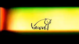 Bears Marocco 2021
