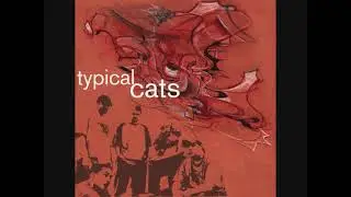 Typical Cats 2001 Full Album