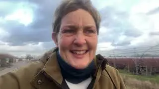 Walk n Talk- Happy New Year 2024