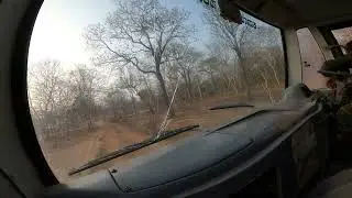 Only 1 Tiger in Kabini ?? | Please check Description for more info