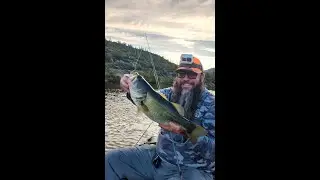 Canyon Lake Arizona - (THE TOUGHEST LAKE TO FISH IN AZ?)