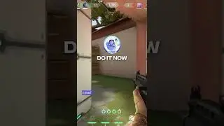 INSANE KAYO POP FLASH GARAGE - HAVEN