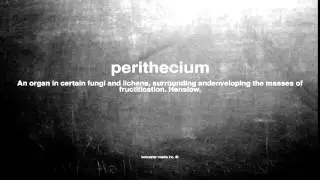 What does perithecium mean
