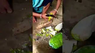 chal kumro cutting😍😋#shorts #shortsviral #villagelife #tribalarea #tribalcooking #subscribe🙏🏻🙏🏻