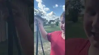 Shortest whip vs longest whip