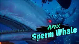 Maneater - You Got Whale: Apex Sperm Whale