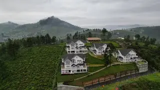 Petals nilgiri drone view