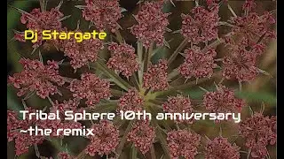 Dj Stargate:  Tribal Sphere 10th anniversary - the remix