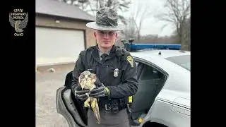 OSHP Canton Post Hawk Rescue