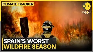 Wildfires Rage In Spain And Portugal As Heatwave Continues | WION Climate Tracker