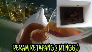 GROOM SAIZ DAN WARNA IKAN LAGA. CARA MUDAH DAN SELAMAT UNTUK IKAN ANDA!