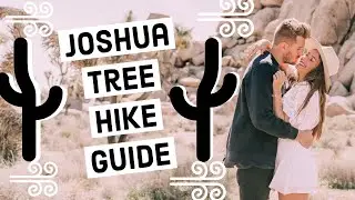 What to do in Joshua Tree National Park (best hike guide)