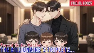 Forced To Co Parent The Billionaire's Triplets After He Stole MY Custody Rights #blanime #bl 
