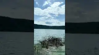 Amazing Lonar Lake #lonarlake #lonar #lonarsarovar #naturebeuty #trending #skumarvlogs