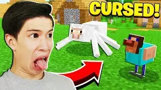 cursed minecraft images that will make you cry...
