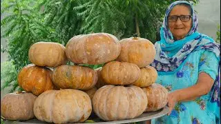 PUMPKIN RECIPE | Kaddu Recipe | Village Food | Asmr Cooking | Village Cooking |