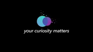 Your Curiosity Matters | SAS Careers