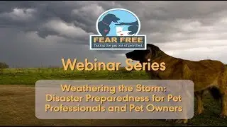Weathering the Storm: Disaster Preparedness for Pet Professionals and Pet Owners