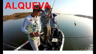 Alqueva - treino para convívio de pesca ao achigã
