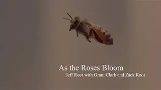 Jeff Root - As the Roses Bloom