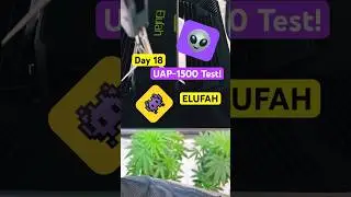 Day 18 -UAP-1500 Test! (ELUFAH)