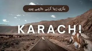 ADNAN BECAUSE |  NEW VIDEO | BAKRA ZIBA KARNE JARAHY HAIN