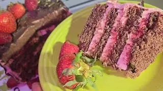 I made the best GF Chocolate Genoise I ever thought was possible! 🍫🍓