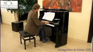 Steingraeber&Soehne 122T klassieke muziek Bij Bol Piano's & Vleugels Veenendaal