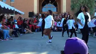 University of Arizona UA 2014-2015 Homecoming Stroll Pt4: Alpha Kappa Alpha