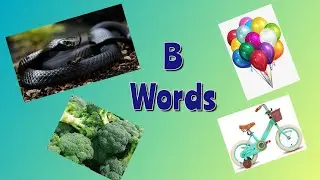 Learn words that starts with Alphabet 'B' #Alphabet #Letter 'B b'