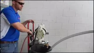 ELIMINATOR KIT