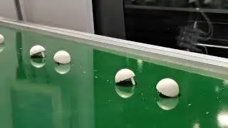 Bole 110FE  Ceramic injection molding